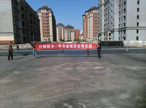 呼市金城百合項(xiàng)目展示